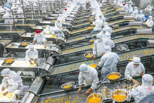 柑橘深加工助力鄉(xiāng)村振興